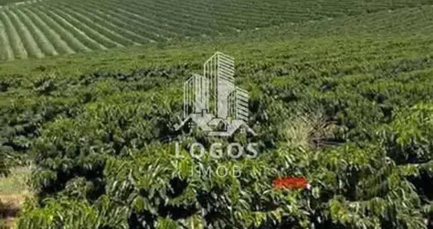 Linda fazenda com 550 hectares de café em minas gerais! - 03