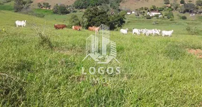 Linda fazenda com excelente topografia em rio novo mg - 01