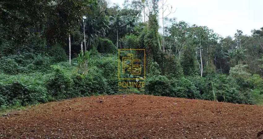 Terreno à venda no Rio Tigre, Benedito Novo 
