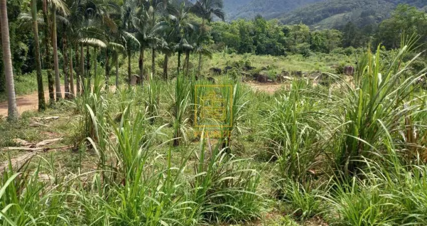 Terreno à venda no Centro, Benedito Novo 