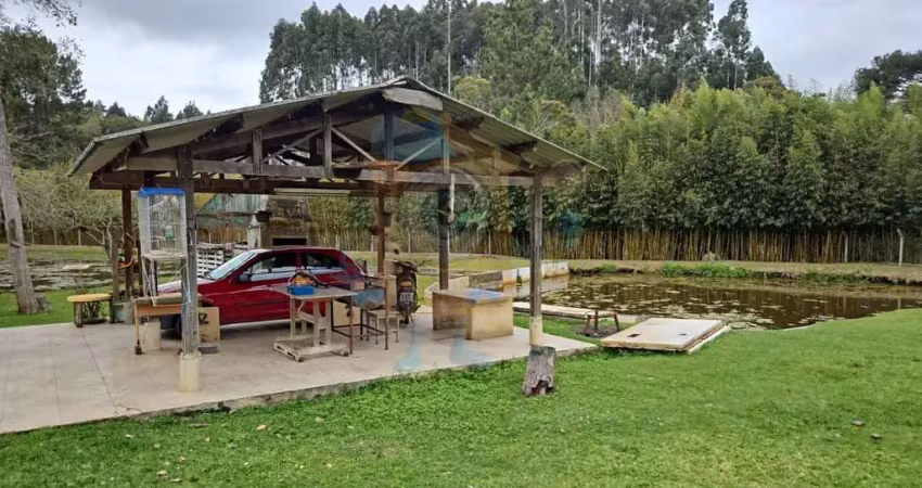 Chácara para venda em são josé dos pinhais, roça velha