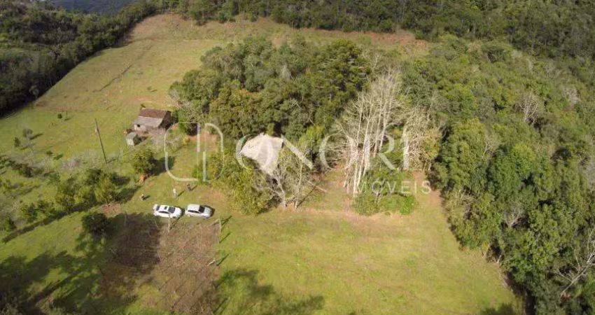 Chácara / sítio à venda na Estrada Linha Bonita - Forqueta, 3031, Zona Rural, Gramado