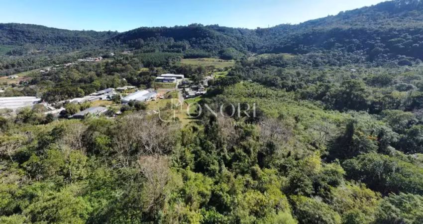 Terreno à venda na Rodovia ERS-115, Várzea Grande, Gramado