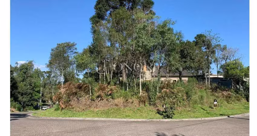 Terreno à venda na Rua Arthur Renheimer, Carniel, Gramado