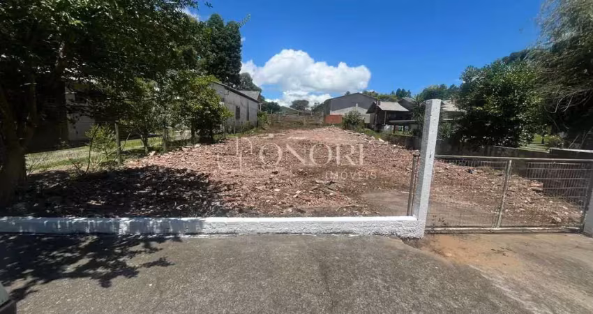Terreno comercial à venda na Rua Carlos Barbosa, Carniel, Gramado