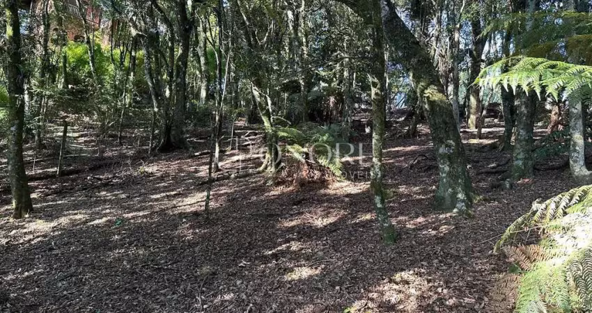 Terreno em condomínio fechado à venda na av Borges de Medeiros, 4524, Centro, Gramado