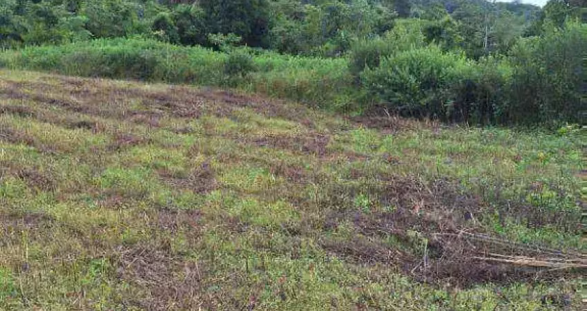 Fazenda à venda, 6590000 m² por r$ 9.885.000 - zona rural - são pedro da cipa/mt