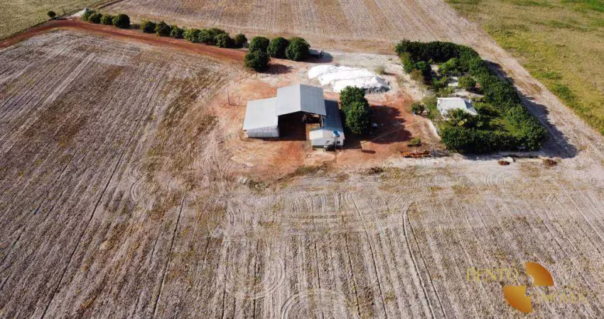 Fazenda à venda, 41500000 m² por r$ 100.000.000 - centro - bonfim/rr