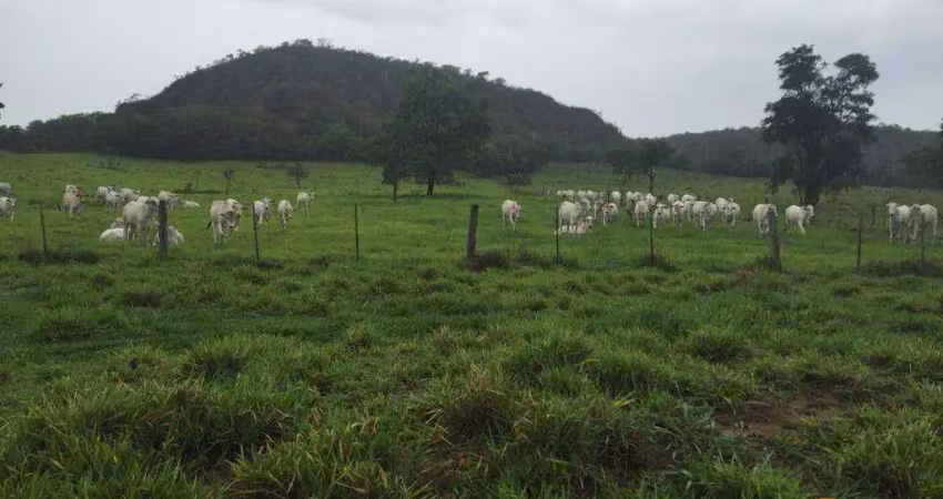 Fazenda à venda, 23400000 m² por r$ 42.120.000 - zona rural - alto araguaia/mt