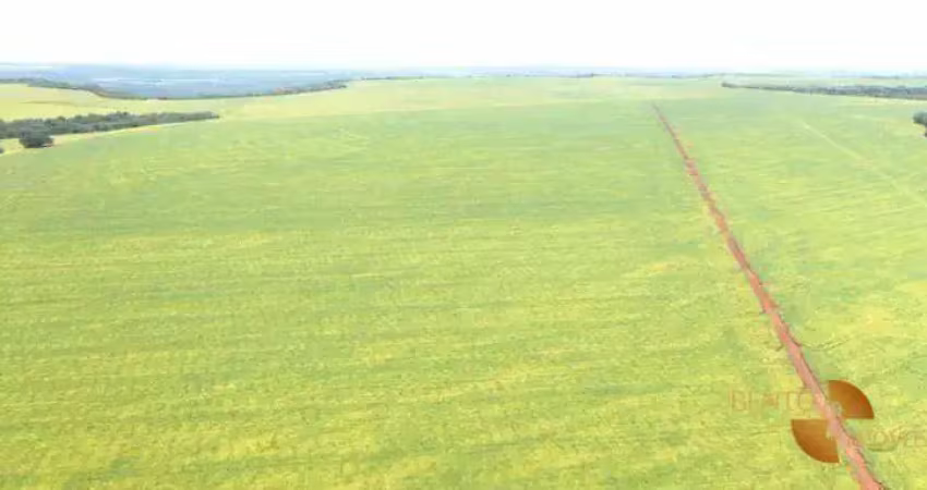 Fazenda à venda, 40000000 m² por r$ 300.000.000 - 256 - tesouro/mt