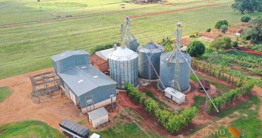 Fazenda à venda, 48600000 m² por r$ 195.000.000 - santa terezinha - nova andradina/ms