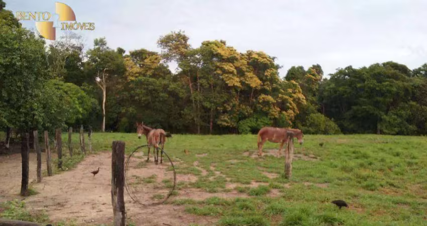 Fazenda à venda, 48368000 m² por r$ 52.000.000,00 - zona rural - gaúcha do norte/mt