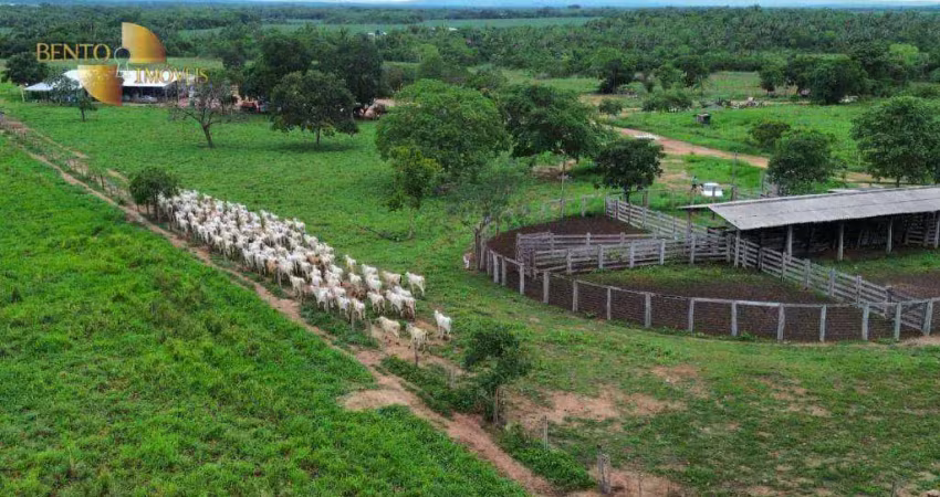 Fazenda à venda, 30000000 m² por r$ 39.000.000,00 - zona rural - rosário oeste/mt
