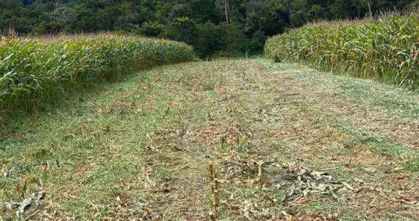 Fazenda à venda, 32700000 m² por r$ 55.590.000,00 - zona rural - cáceres/mt