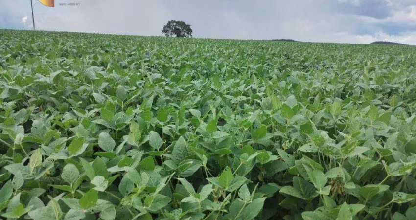 Fazenda à venda, 9640000 m² por r$ 30.000.000,00 - zona rural - planalto da serra/mt