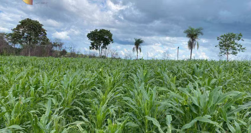 Fazenda à venda, 2000000 m² por r$ 2.600.000,00 - zona rural  - várzea grande/mt