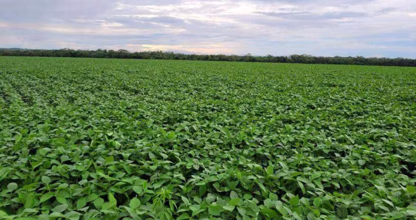 Fazenda à venda, 15300000 m² por r$ 15.000.000,00 - zona rural - nossa senhora do livramento/mt