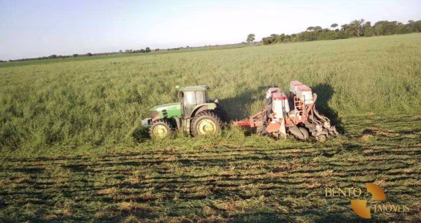 Fazenda à venda, 53240000 m² por r$ 495.000.000 - zona rural - jussara/go