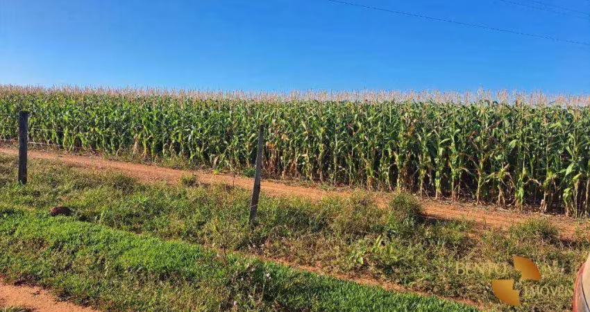 Fazenda à venda, 5040000 m² por r$ 16.000.000,00 - setor residencial boa vista - rondonópolis/mt