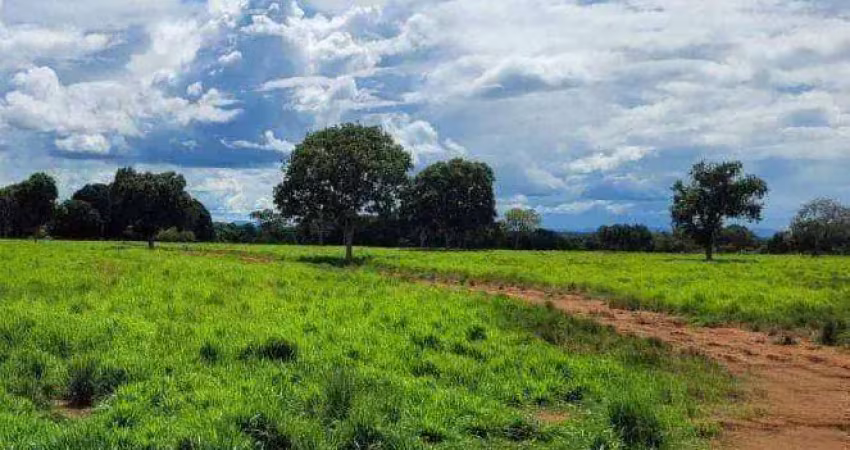 Fazenda à venda, 6900000 m² por r$ 20.700.000 - zona rural - poconé/mt