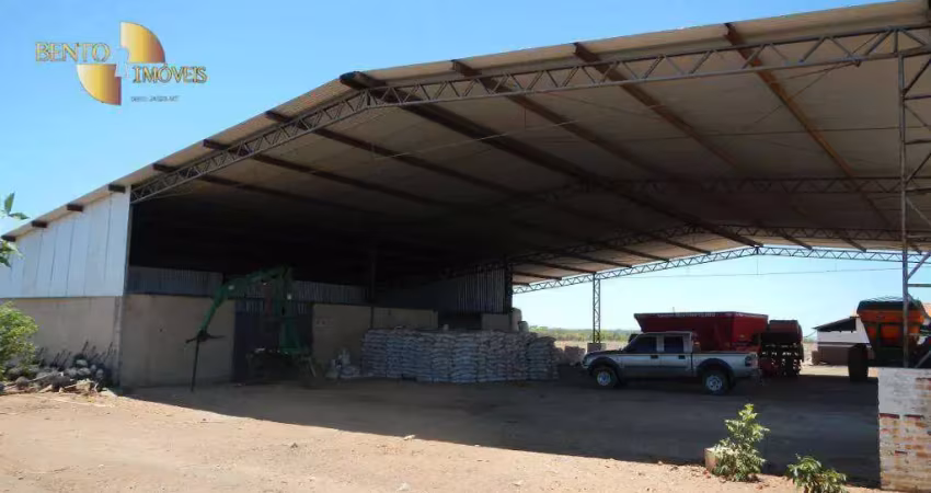 Fazenda à venda, 9100000 m² por r$ 28.500.000,00 - centro - são francisco do maranhão/ma