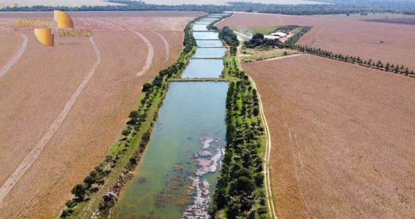 Fazenda à venda, 21000000 m² por r$ 130.000.000,00 - zona rural - são josé do rio claro/mt