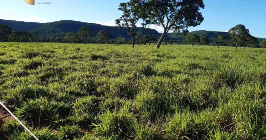 Fazenda à venda, 9110000 m² por r$ 36.000.000,00 - zona rural - nobres/mt