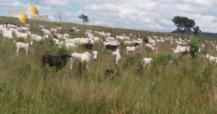 Fazenda em guiratinga à venda, 30800000 m² por r$ 18.000.000 - guiratinga/mt