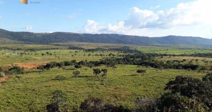 Fazenda em nossa senhora do livramento à venda, 16000000 m² por r$ 12.800.000 - zona rural - nossa senhora do livramento/mt