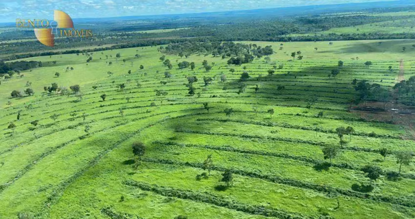 Fazenda em alcinópolis à venda, 78260000 m² por r$ 156.520.000 - zona rural - alcinópolis/ms