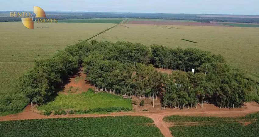 Fazenda á 55km de campo novo à venda, 31030000 m² por r$ 165.000.000 - zona rural - campo novo do parecis/mt
