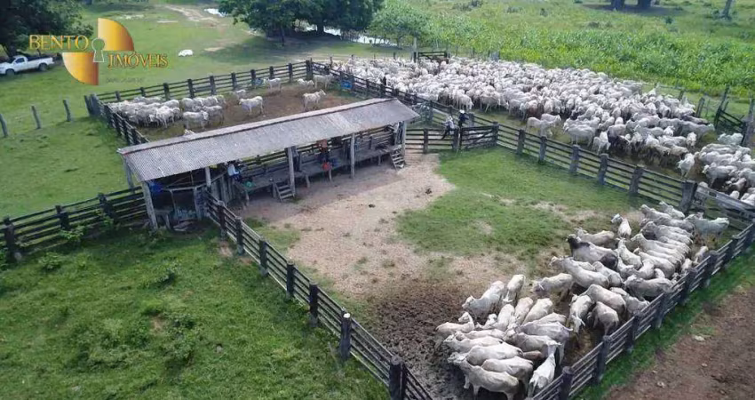 Fazenda à venda, 60000000 m² por r$ 12.000.000,00 - zona rural - poconé/mt