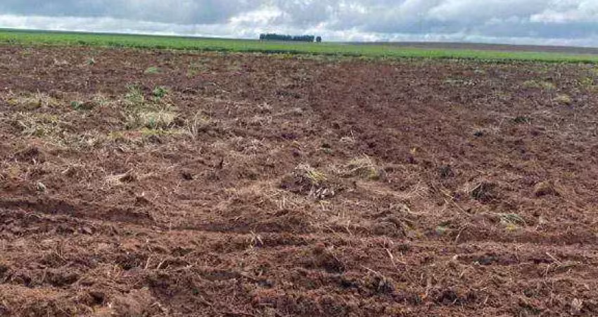Fazenda à venda, 14950000 m² por r$ 34.000.000,00 - centro - tangará da serra/mt