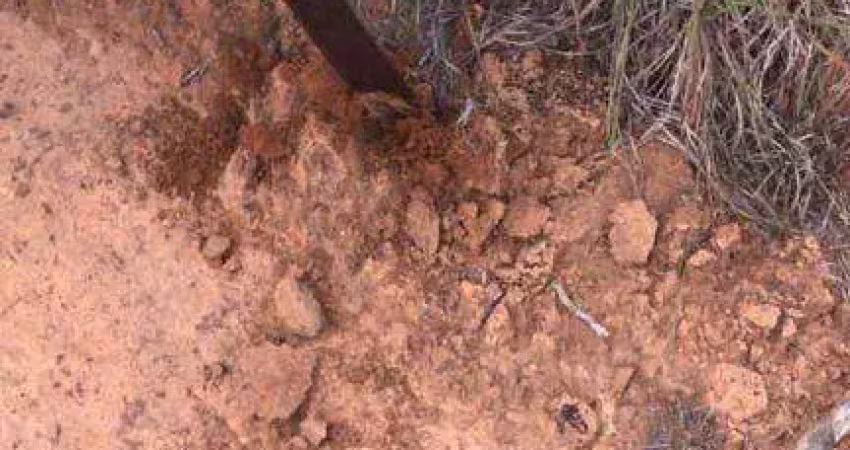 Fazenda à venda, 59950000 m² por r$ 115.000.000,00 - zona rural - sinop/mt