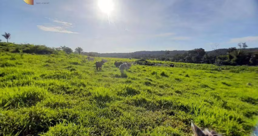Fazenda à venda, 38000000 m² por r$ 20.000.000,00 - zona rural - alta floresta/mt