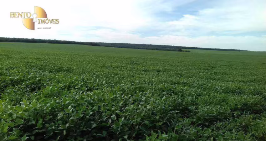 Fazenda à venda, 40800000 m² por r$ 185.752.200,00 - assentamento  - ribeirão cascalheira/mt