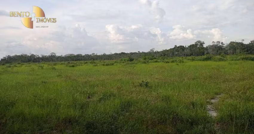 Fazenda à venda, 500000000 m² por r$ 150.000.000,00 - zona rural - boa vista/rr