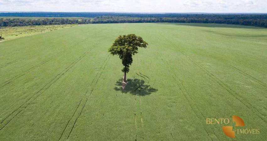 Fazenda à venda, 50500000 m² por r$ 242.000.000,00 - zona rural - porto dos gaúchos/mt