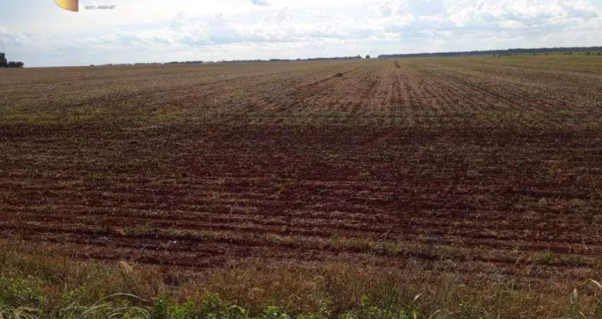 Fazenda à venda, 20260000 m² por r$ 210.000.000,00 - zona rural - tangará da serra/mt