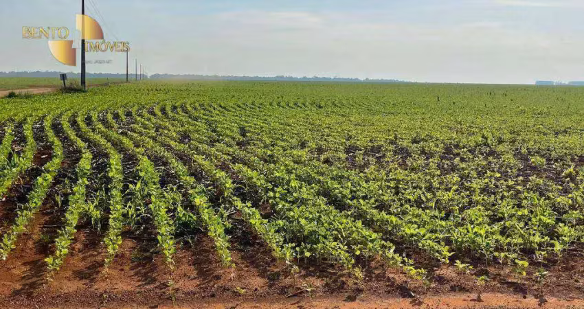 Fazenda à venda, 36000000 m² por r$ 340.000.000,00 - zona rural - ipiranga do norte/mt