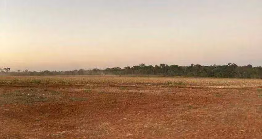 Fazenda à venda, 18860000 m² por r$ 85.000.000,00 - zona rural - juina/mt