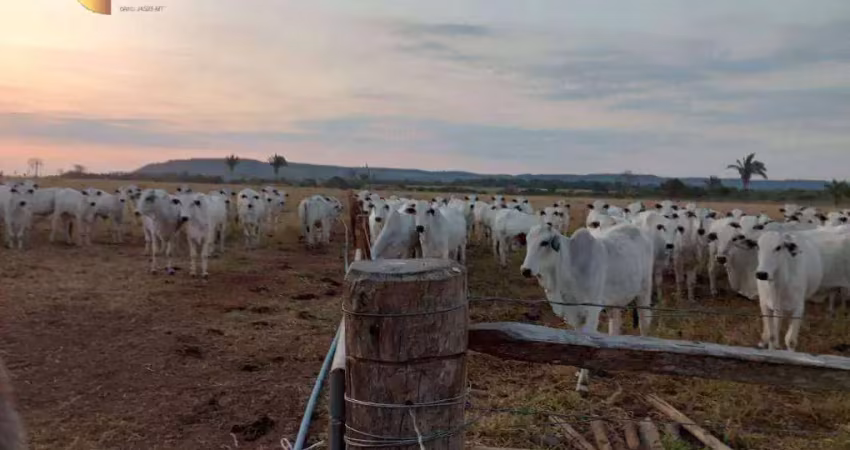 Fazenda à venda, 4000000 m² por r$ 32.000.000,00 - zona rural - tangará da serra/mt