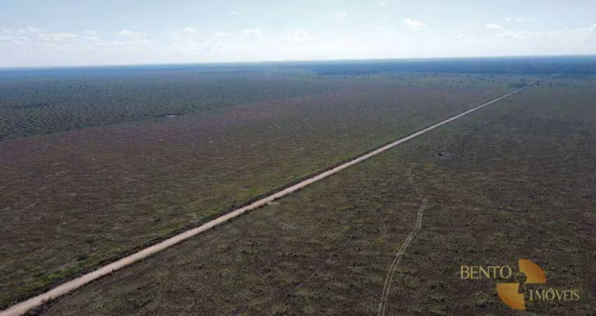 Fazenda à venda, 70000000 m² por r$ 120.000.000,00 - chacaras setor quatro - cerejeiras/ro