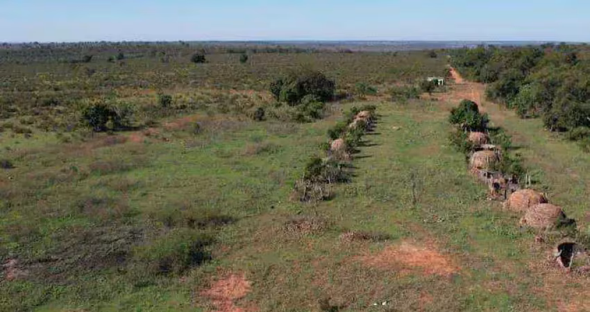 Fazenda à venda, 23490000 m² por r$ 61.074.000,00 - zona rural - ribas do rio pardo/ms