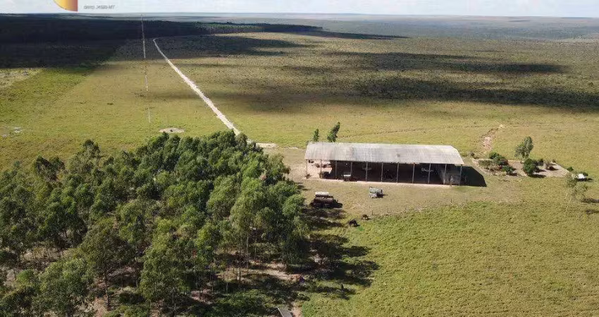 Fazenda à venda, 211540000 m² por r$ 240.000.000,00 - zona rural - vale de são domingos/mt