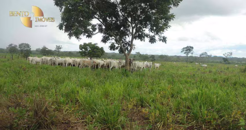 Fazenda à venda, 8360000 m² por r$ 30.000.000,00 - zona rural - rosário oeste/mt