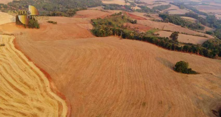 Fazenda à venda, 2968399 m² por r$ 52.800.000,00 - zona rural - francisco beltrão/pr