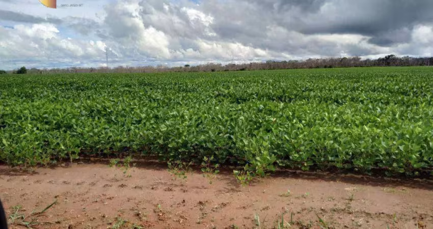 Fazenda, 50000000 m² - venda por r$ 51.000.000 ou arrendamento por r$ 10.000/mês - zona rural - guarantã do norte/mt
