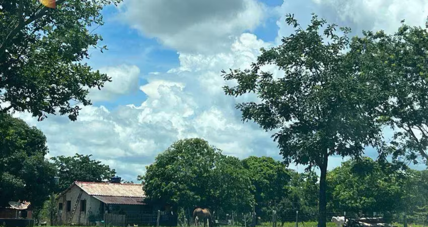Fazenda à venda, 1000000 m² por r$ 1.500.000,00 - zona rural - nobres/mt