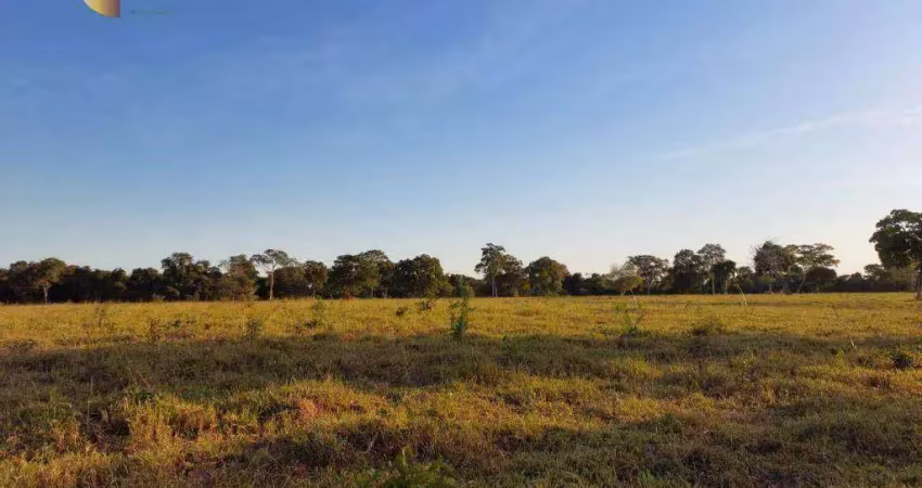Fazenda à venda, 6500000 m² por r$ 13.000.000,00 - zona rural - porto estrela/mt